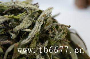 白牡丹茶功效,白茶用盖碗如何冲泡？,白牡丹茶功效