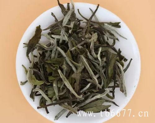 白毫银针散茶价格