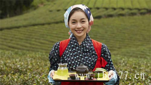 普洱茶的地理保护区域