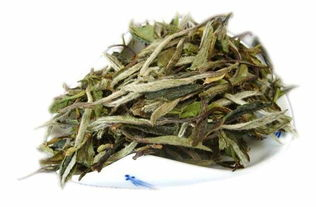 
白茶的口粮茶，有必要选高山茶吗？
