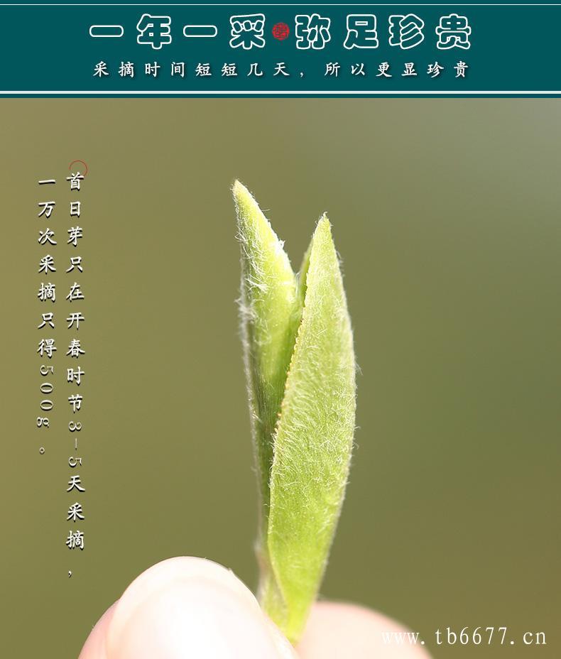 寿眉茶怎么煮