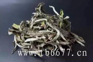 福鼎白茶茶饼的价格多少