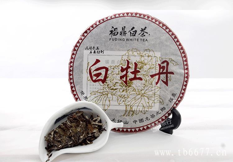 白牡丹茶的历史